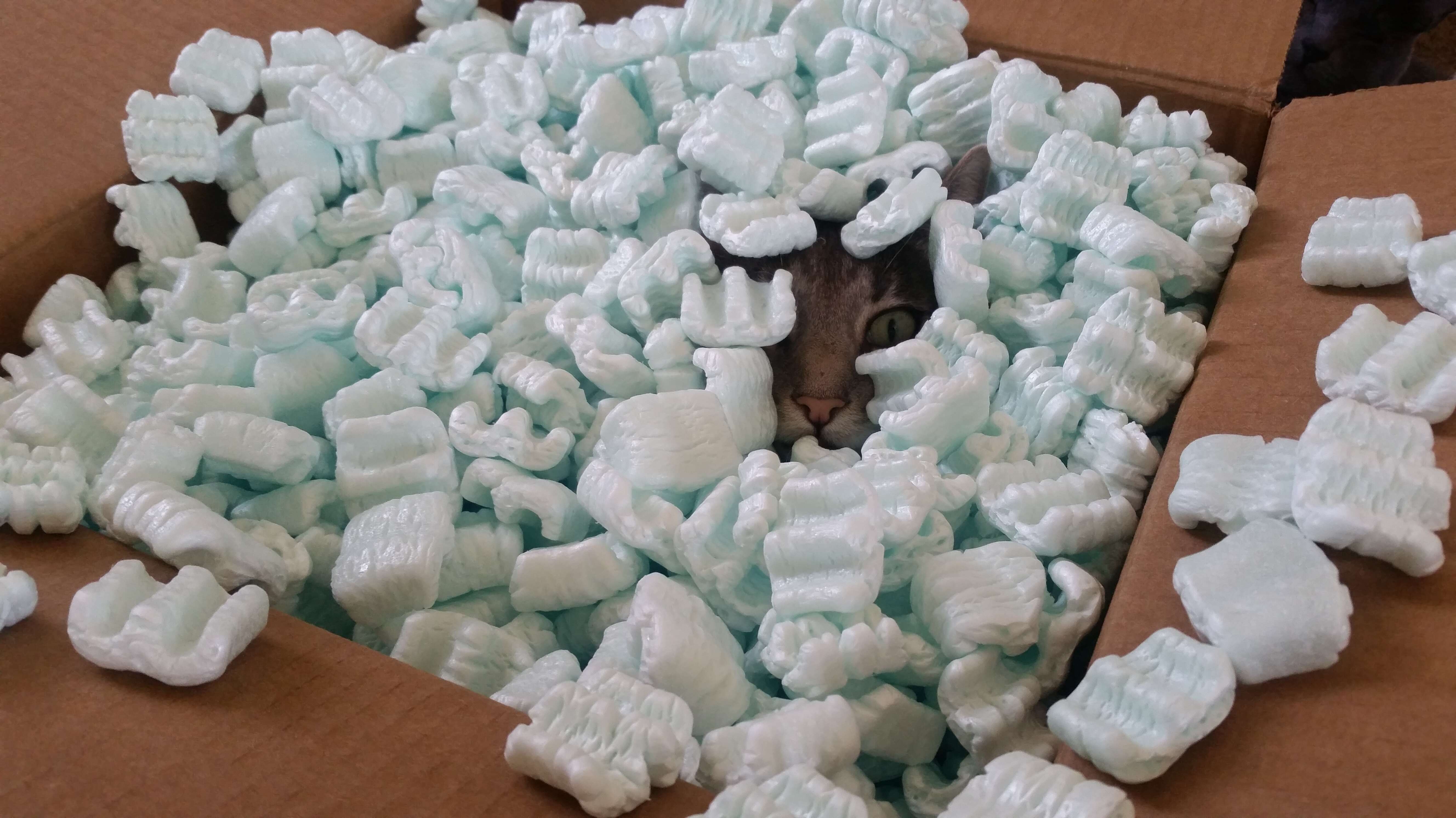 cat loves packing peanuts