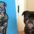 Artist Creates Super Realistic Portraits Of Cats And Dogs