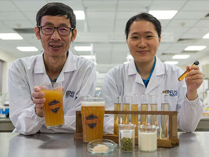 scientists develop probiotic beer