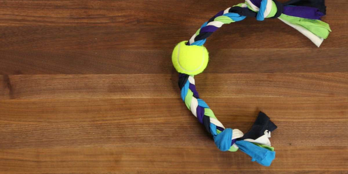 How To Make A Dog Toy From Old TShirts Videos The Dodo