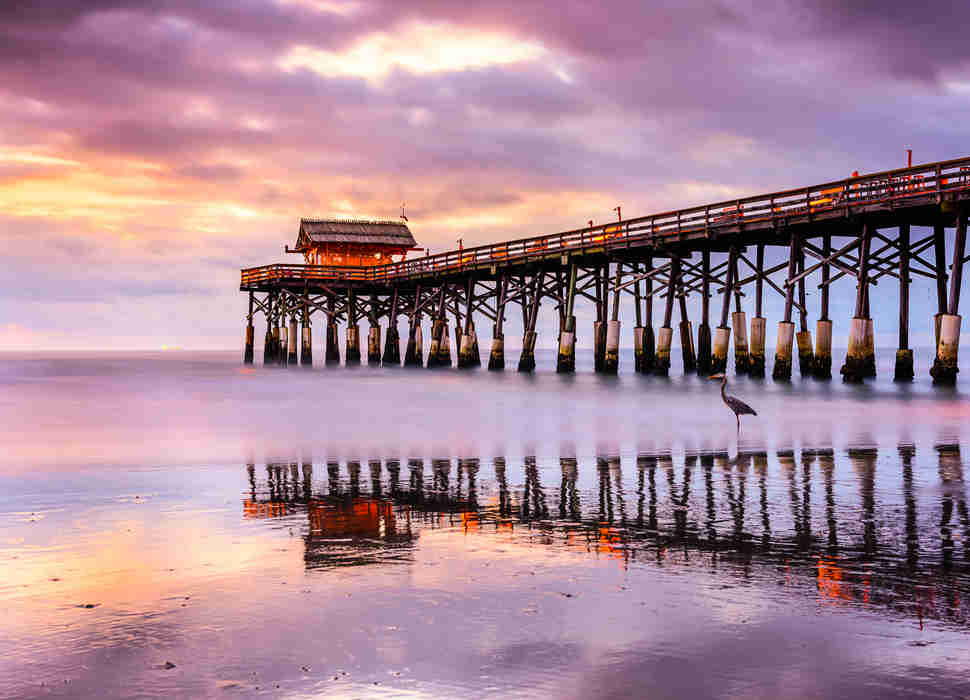 Dating cocoa beach florida dating cocoa beach florida