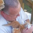 Kittens Climb All Over The Guy Who Feeds Them