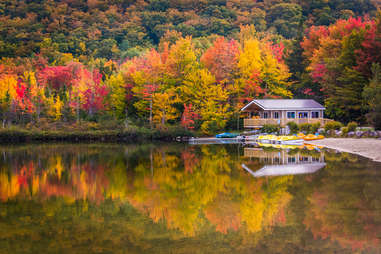NH Foliage