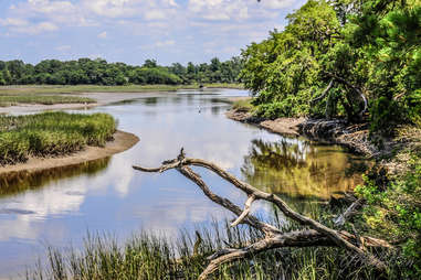 Edisto River