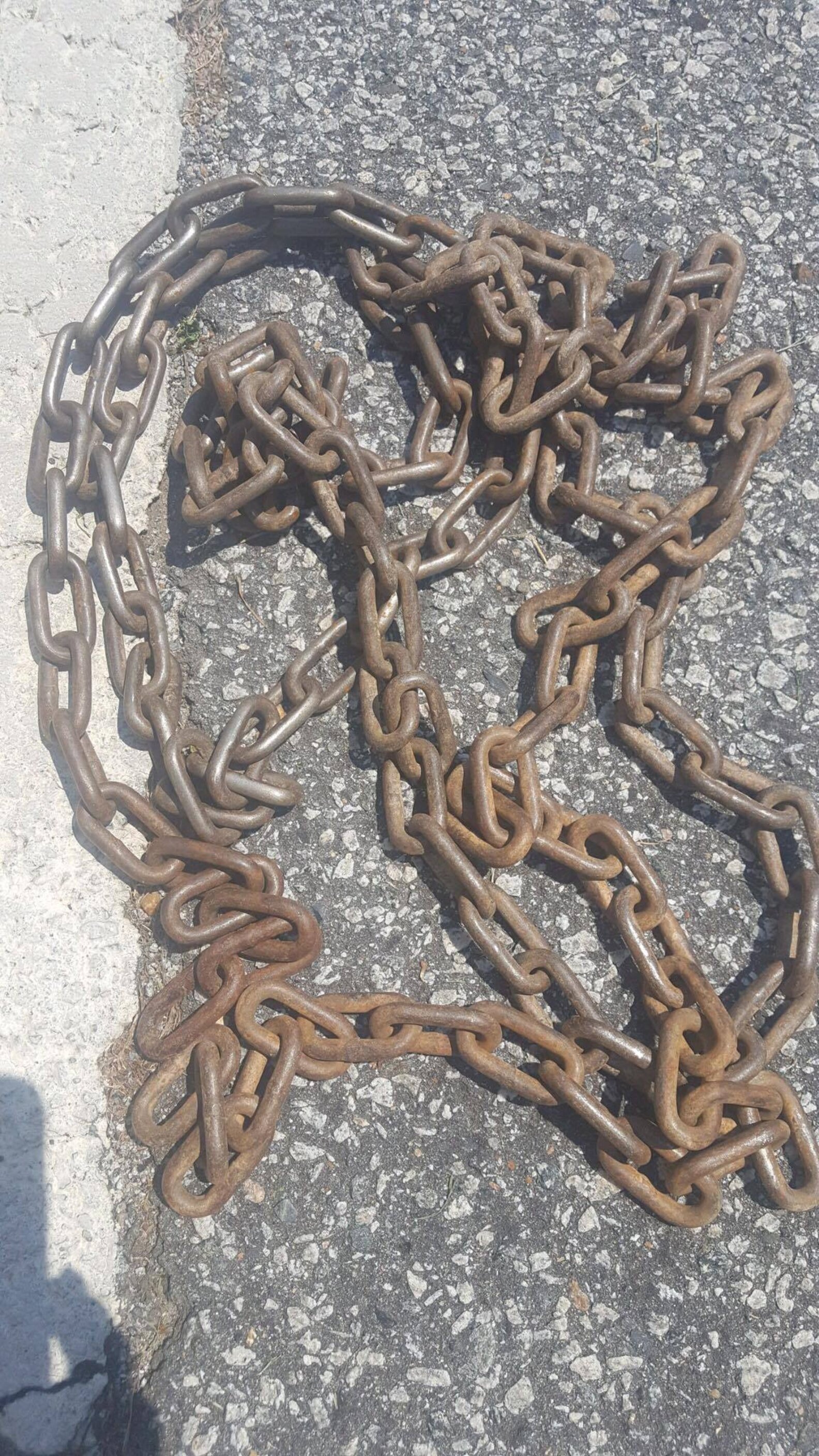 Dog Chained Up His Whole Life Has Chain Embedded In His Neck The Dodo