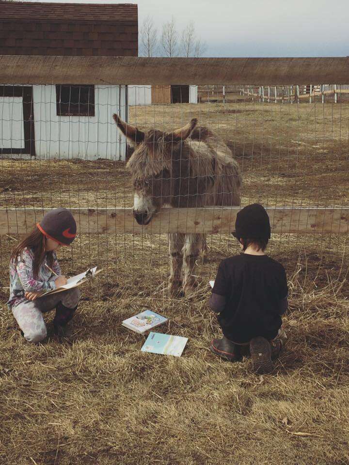 kids read to donkey at sanctuary