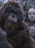 planet of the apes write explains why young zola is the key to everything