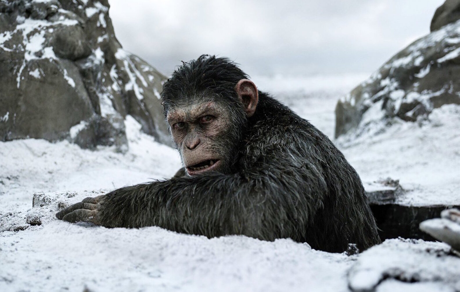 Best Movies of 2017: Good Movies to Watch From Last Year - Thrillist