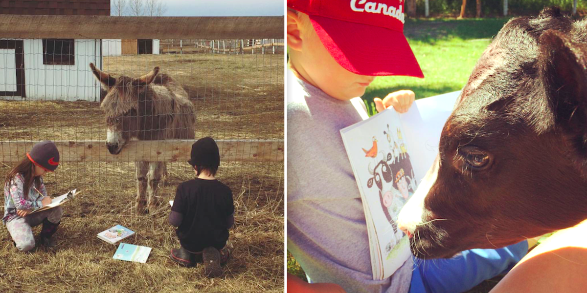 Animal Sanctuary Starts Reading Program To Help Kids And Animals - The Dodo
