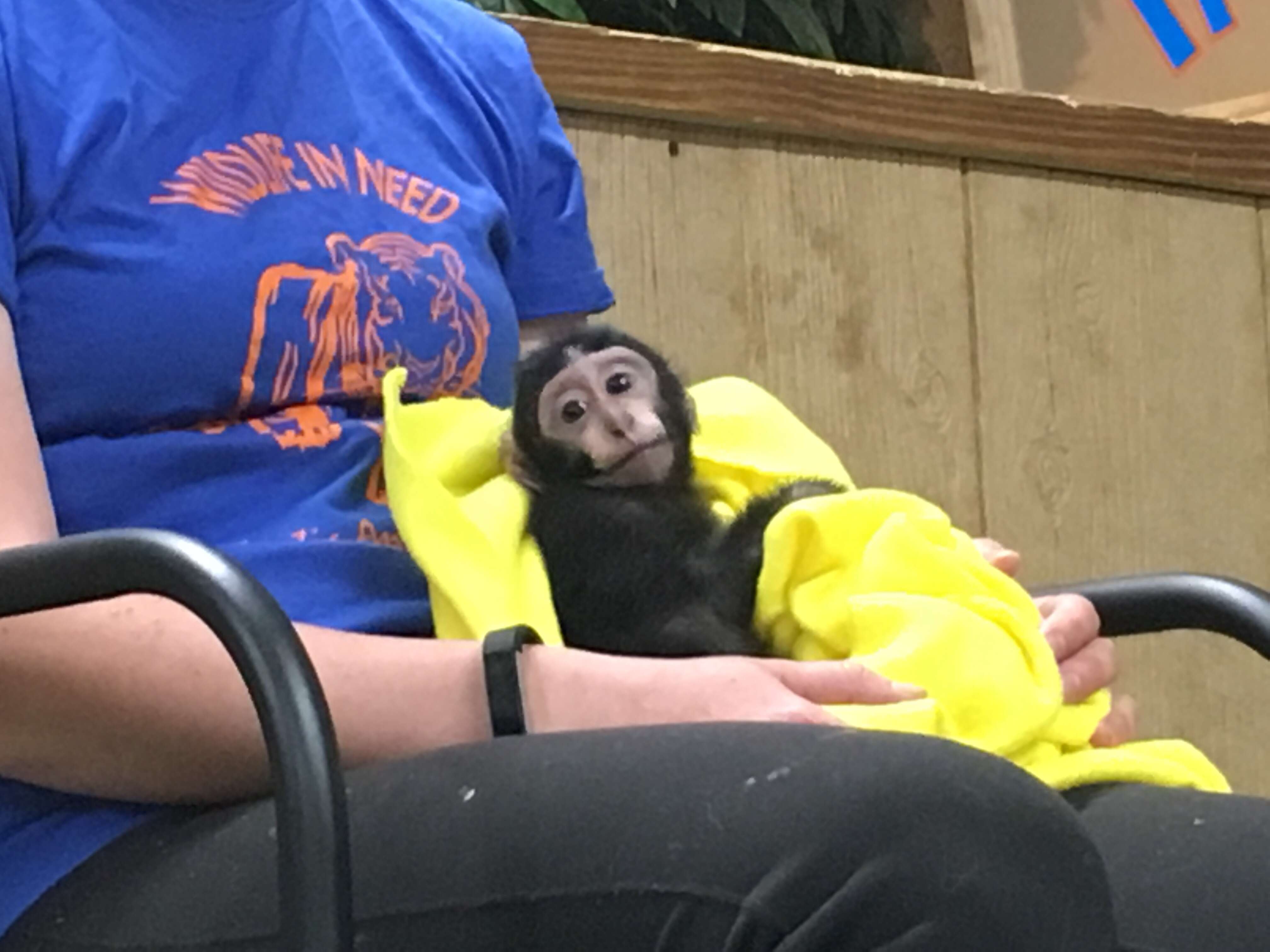Woman holding monkey
