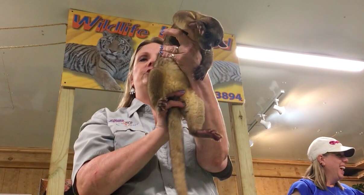 Woman holding terrified animal