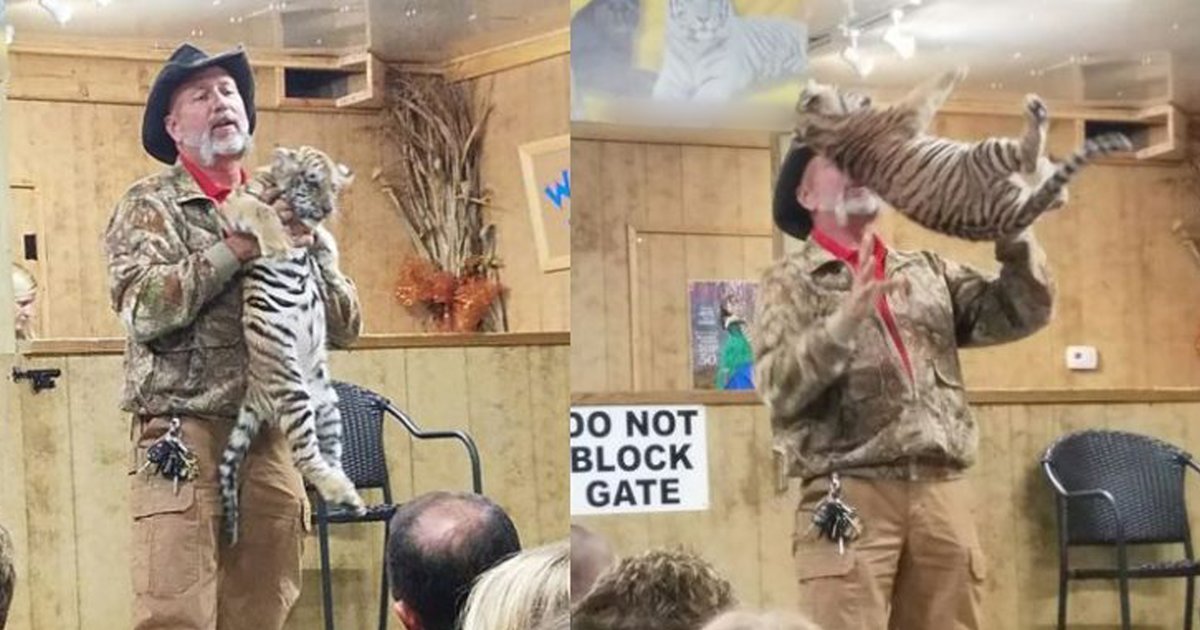 Roadside ‘Zoo’ Has Long History Of Mistreating Animals The Dodo