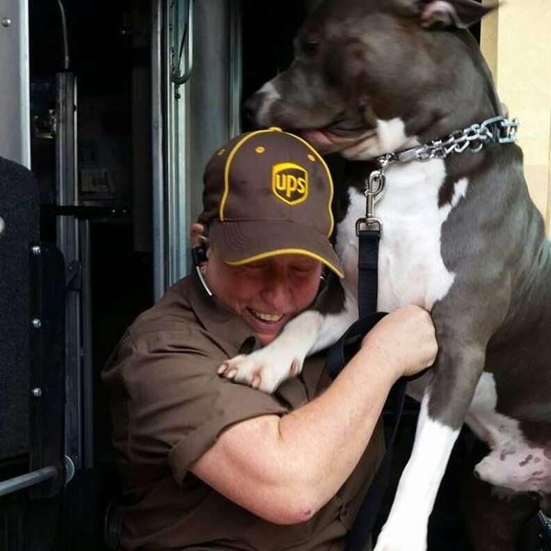 UPS Driver Adopts Pit Bull On Her Route After His Owner Passes Away - The  Dodo