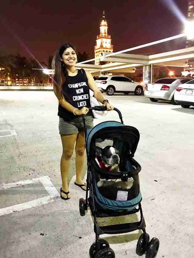 blind deaf dog gets stroller