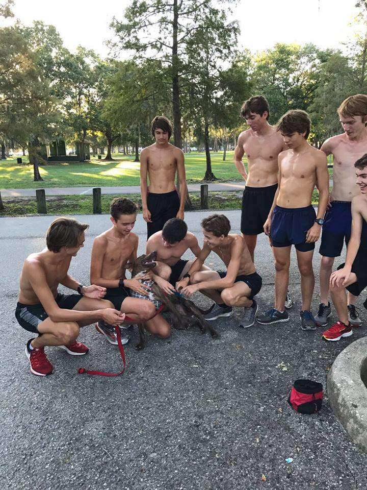 Cross country runners with shelter dog