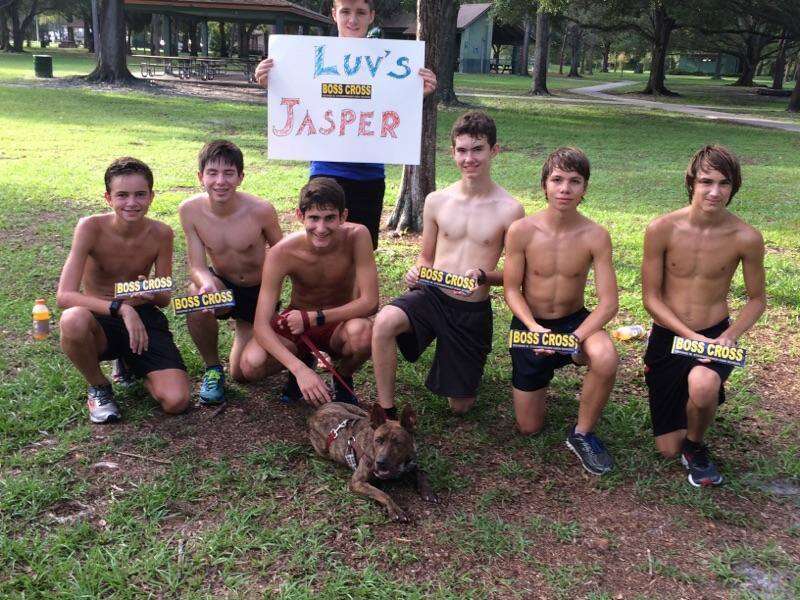 Runners with shelter dog
