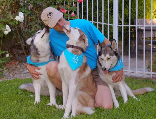 Siberian husky family