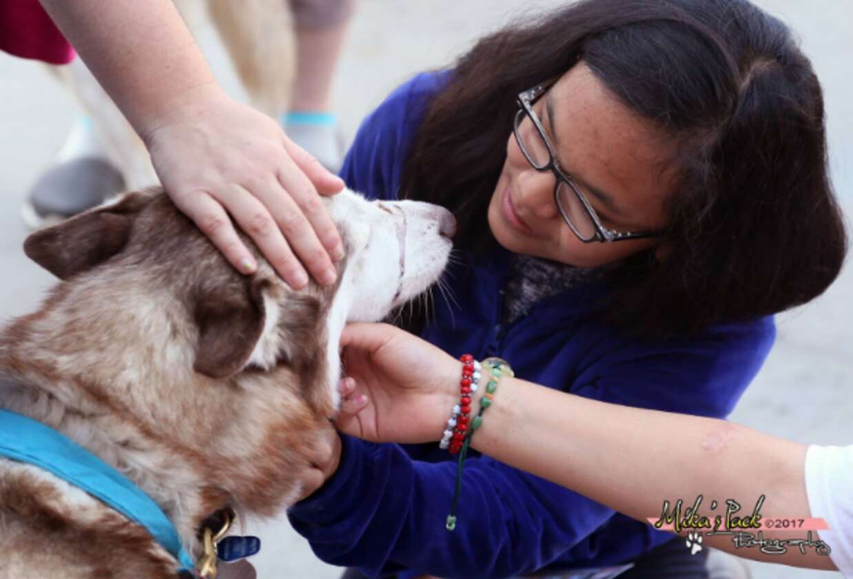 Dog Helps Kids Testify Against Abusers — Because He Knows Exactly What ...