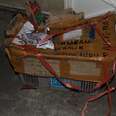 Cardboard box used to transport slow lorises