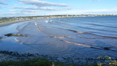 newport beach