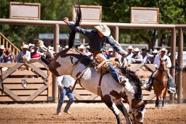 Days of '76 Rodeo