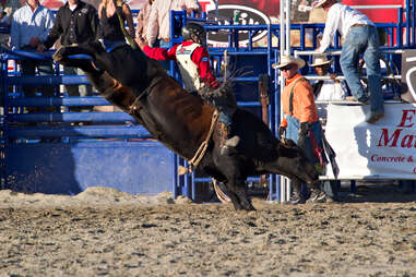 Bull Riding