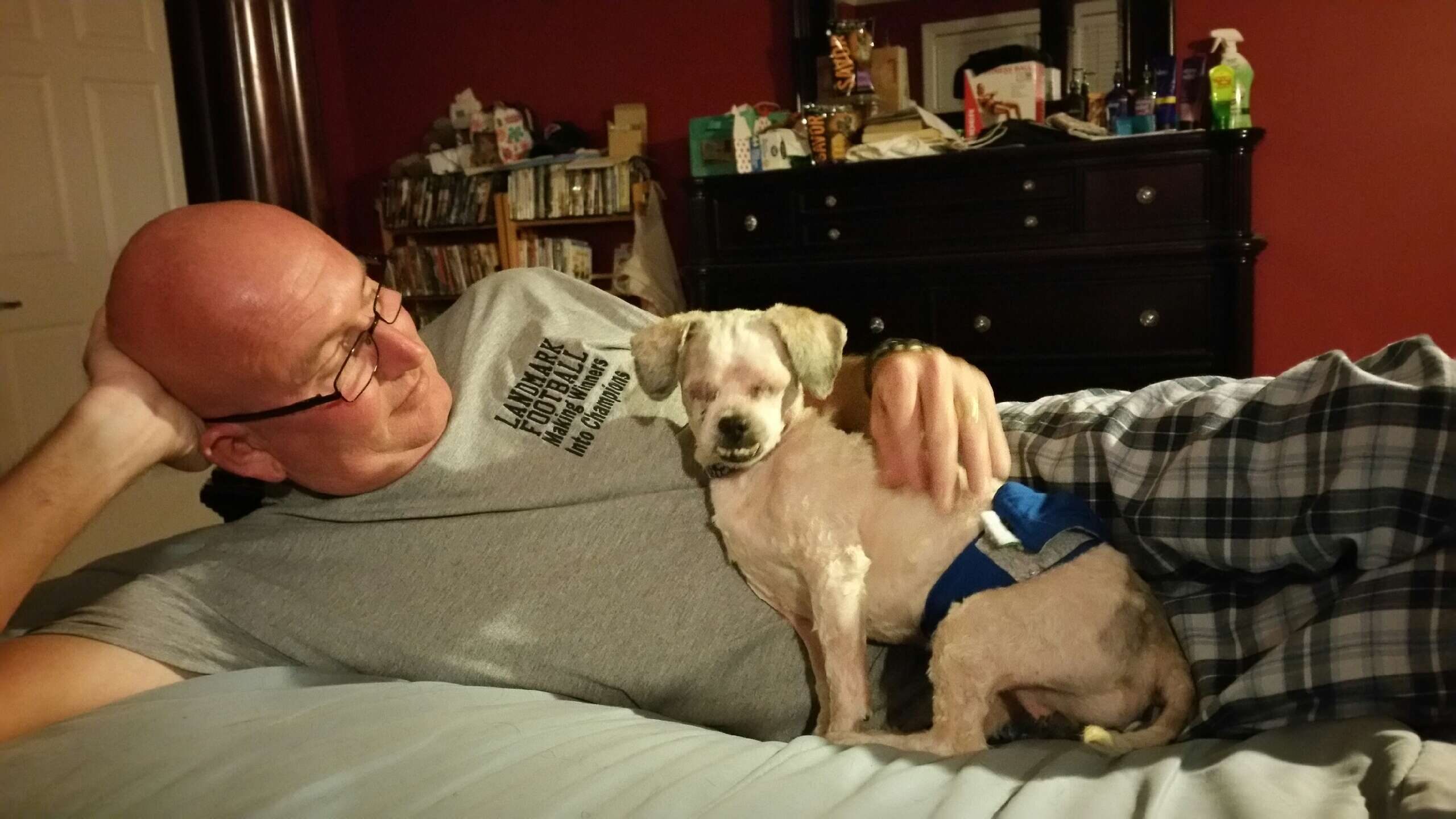 Blind Dog Covered In Matted Fur Is Helped By The Kindest Police Officer ...