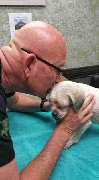 Man kissing rescue dog