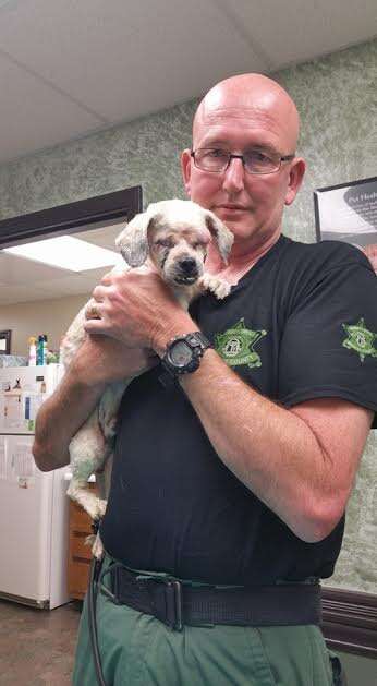 Man holding rescue dog