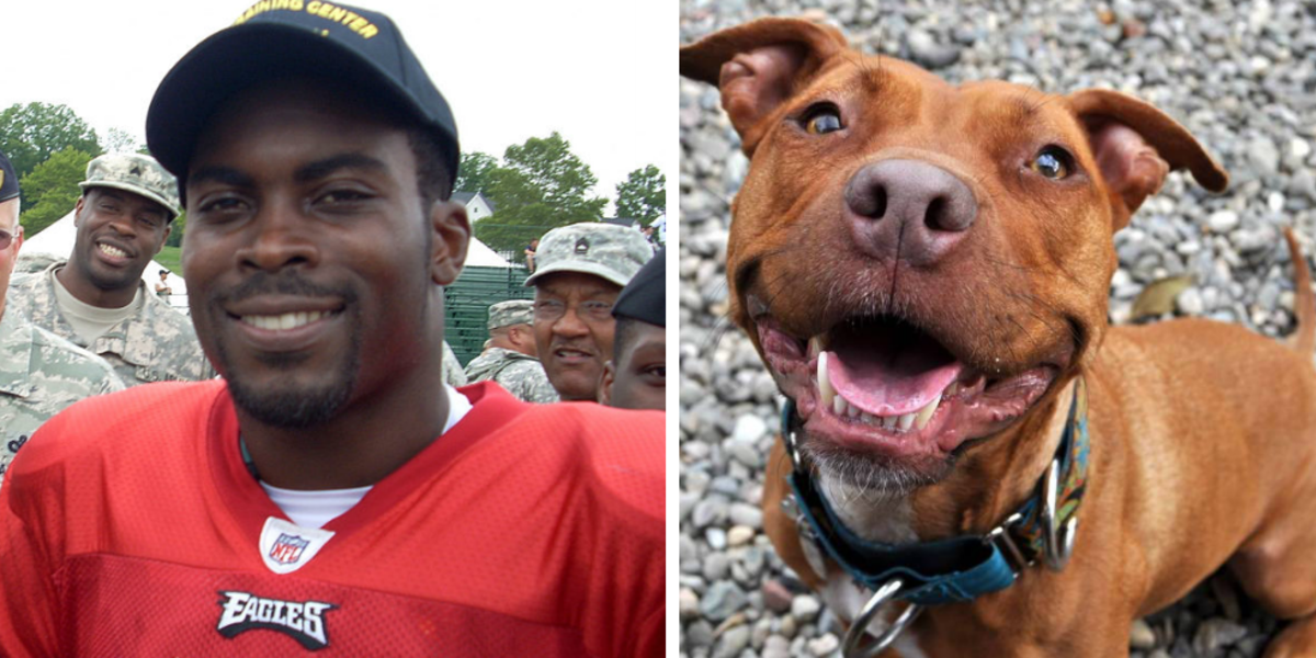 Michael Vick's A Hall Of Famer At Virginia Tech — And Dog