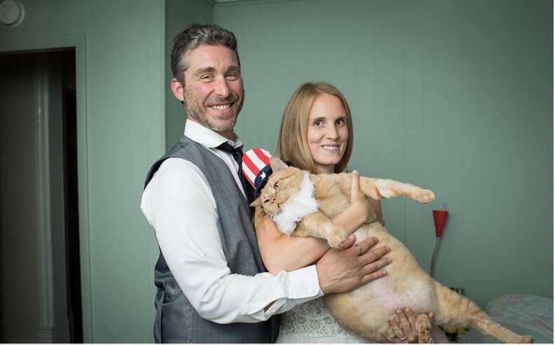 Wedding couple holding fat cat in hat