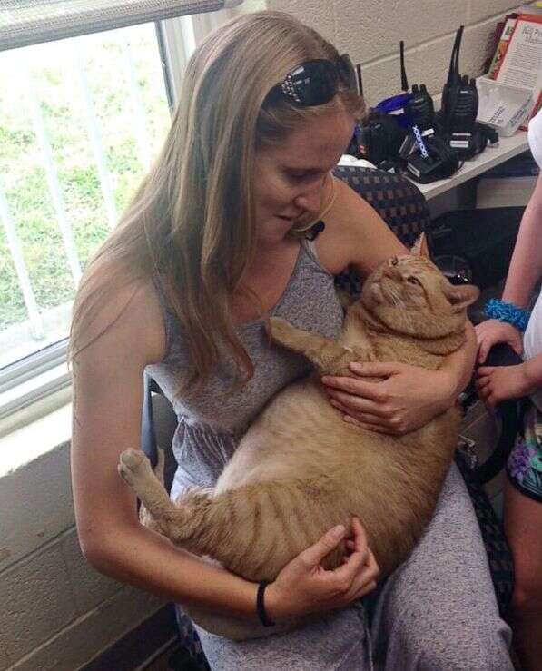 Woman holding rescue cat