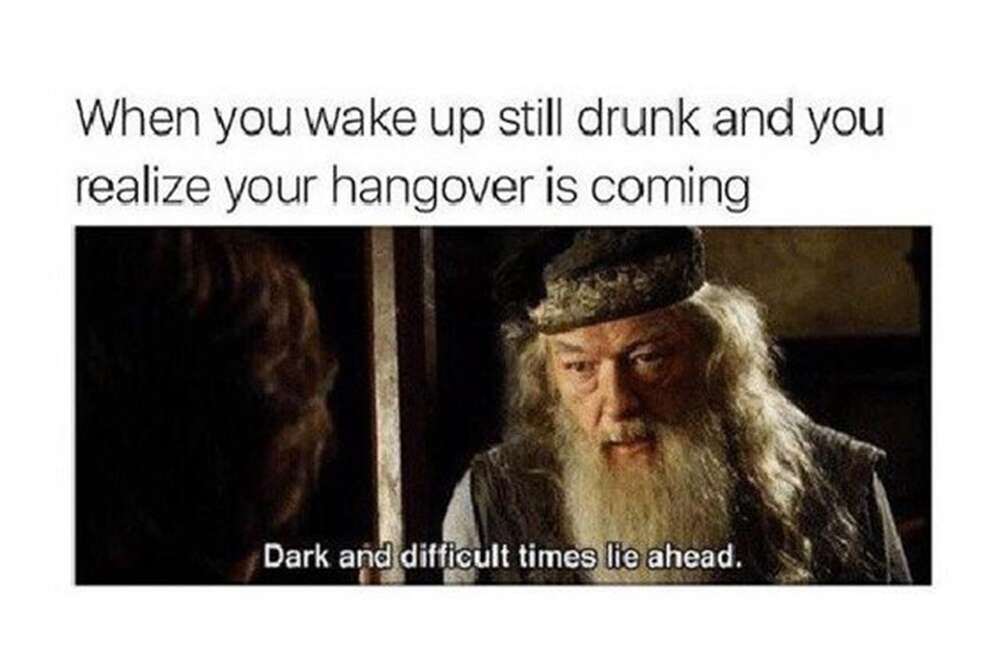 Funny Hangover Memes The Stages Of A Hangover Told In Memes Thrillist