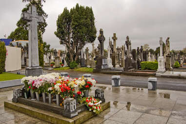 Glasnevin Cemetery & Museum Dublin, Ireland