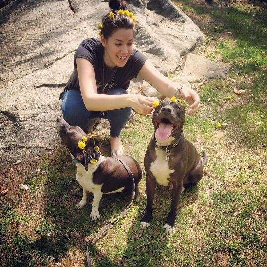 dogs in flower crowns