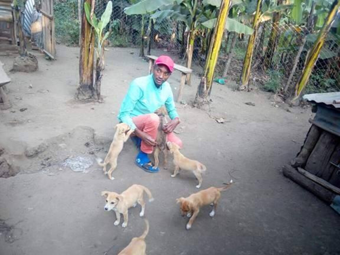 Guy Finds Abandoned Puppies On The Street And Carries Them Home In ...