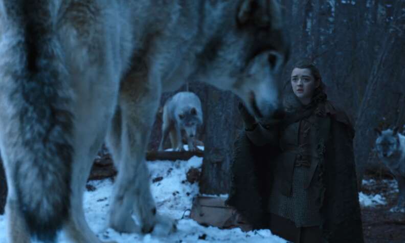 arya nymeria game of thrones season 7