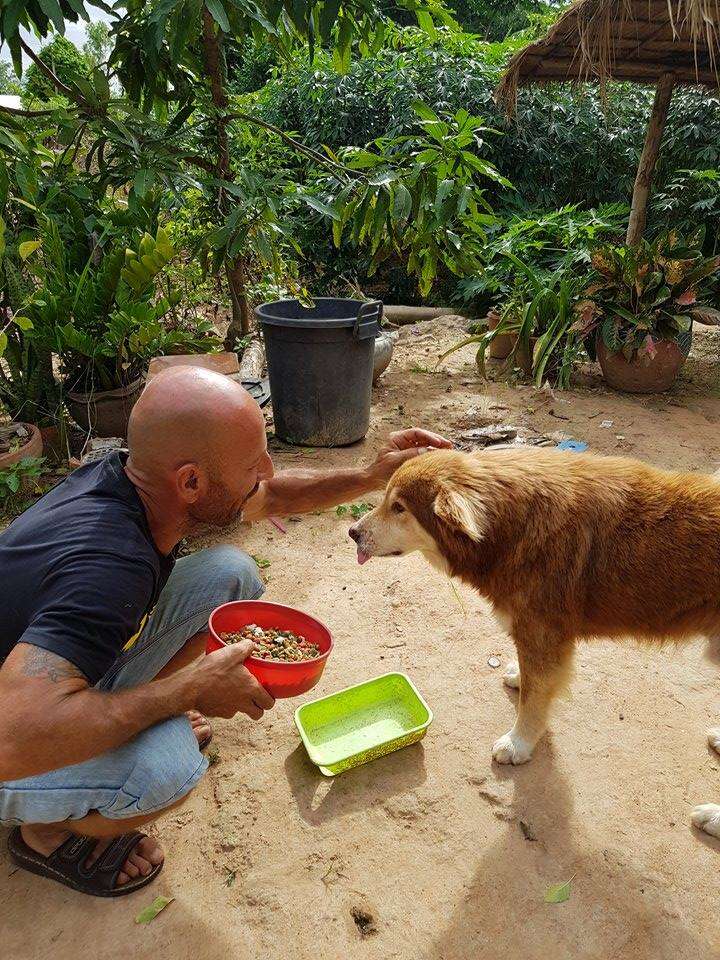 Man petting rescue dog