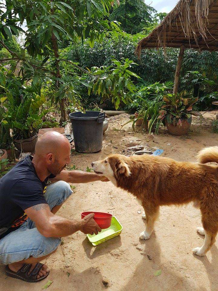 Man petting abandoned dog