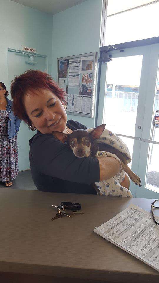 Woman holding senior shelter dog