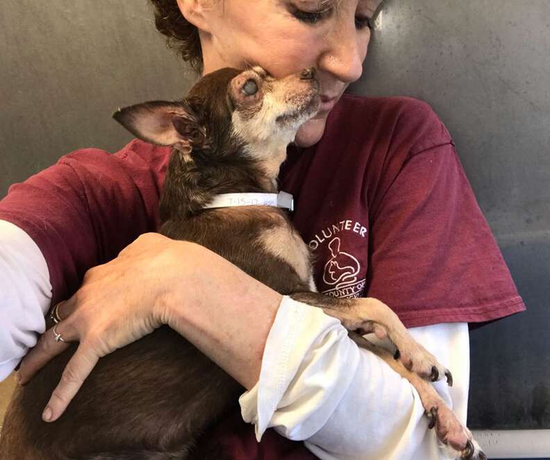 Woman snuggling senior blind dog