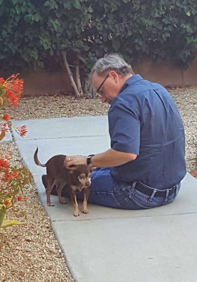 Senior chihuahua outside with man