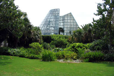 San Antonio botanical gardens