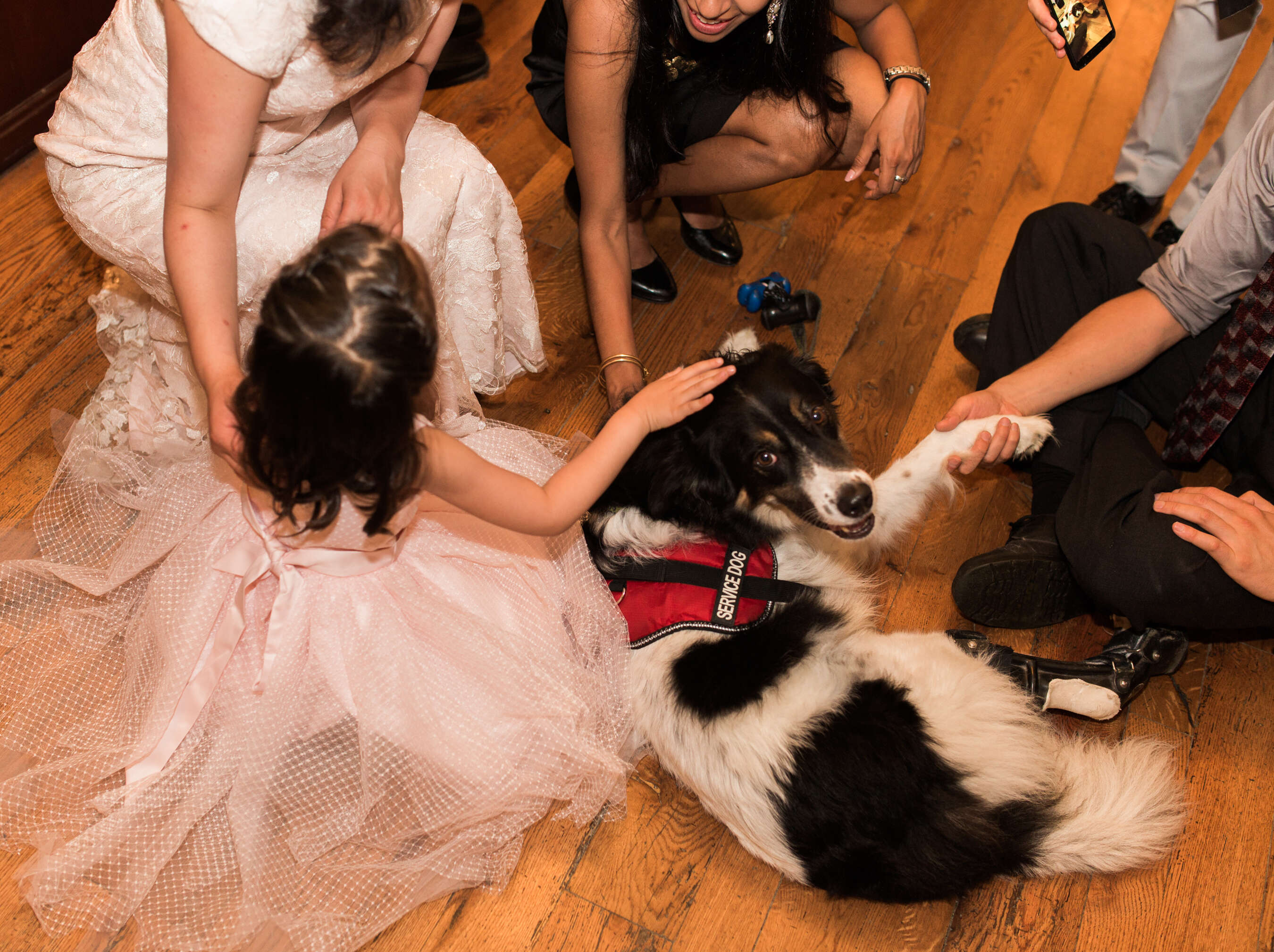 Dog at wedding reception