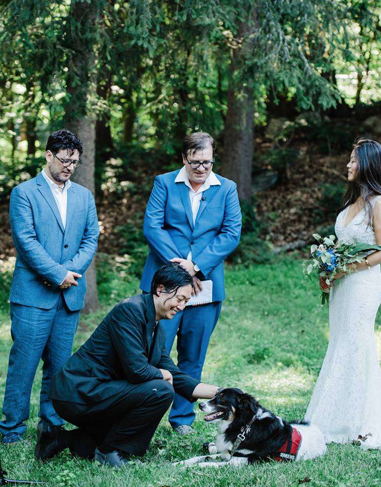 Dog in wedding ceremony