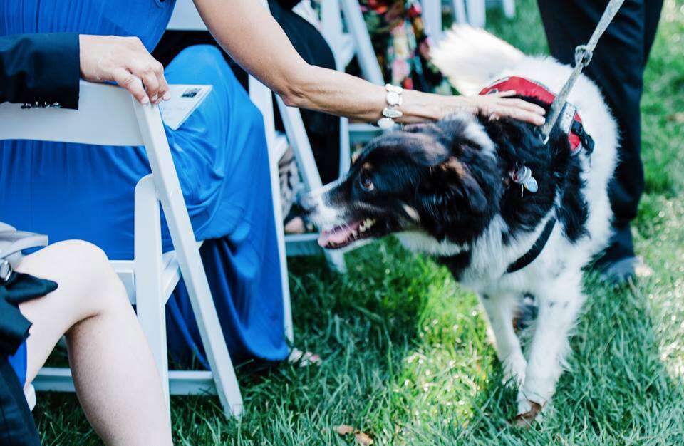 Dog in wedding ceremony