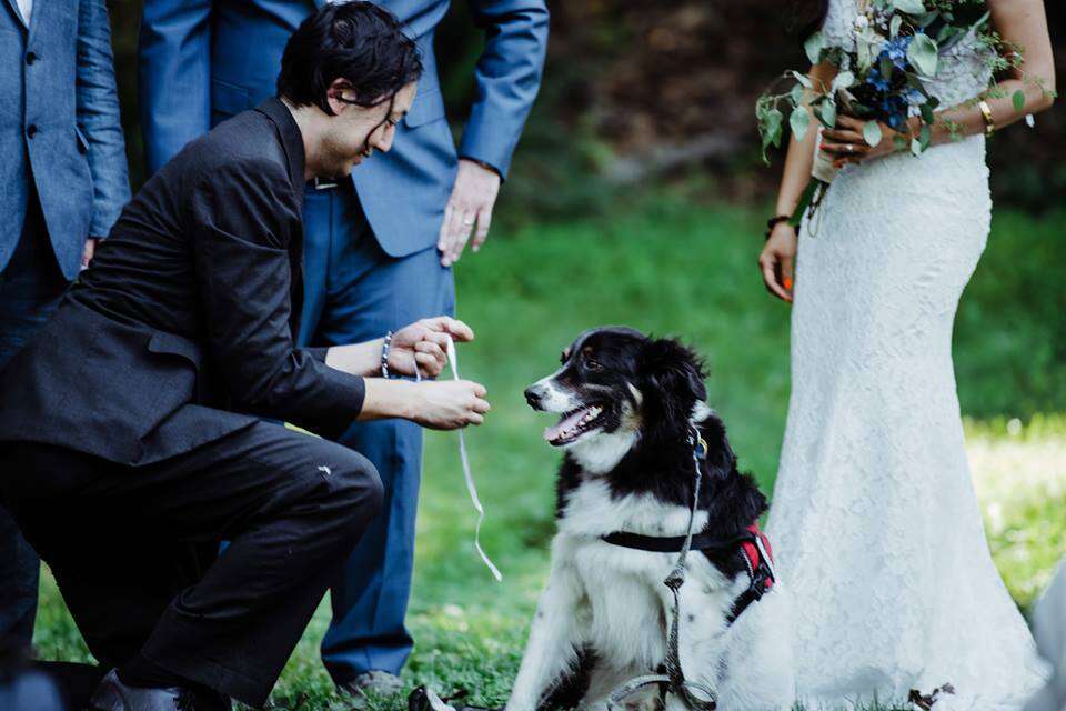 Dog in wedding ceremony