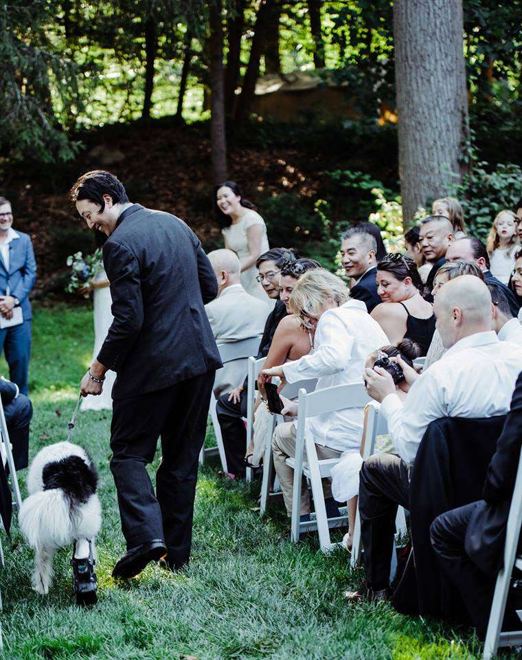 Rescue dog walking down wedding aisle