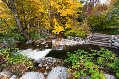 Lithia Park 