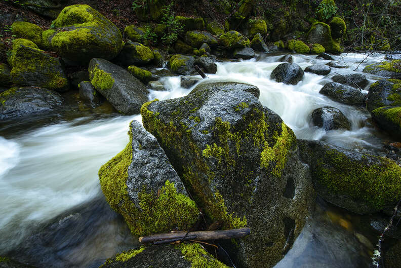 Lithia Park Waterfalls